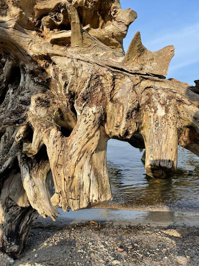 Urlaub Nahe Der Peene Naehe Der Ostsee Rustow Екстериор снимка